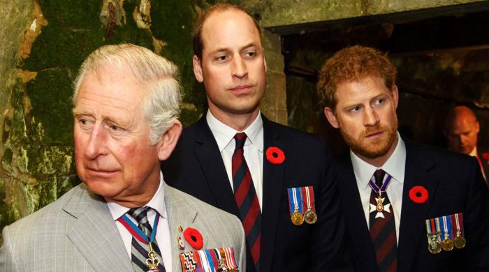 Harry deserves top protection as King Charles’ son, Prince William’s brother