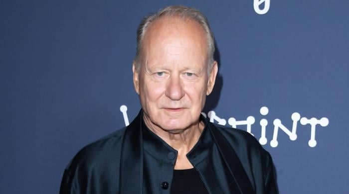 Stellan Skarsgard teases 'Mamma Mia!' sequel plot detail