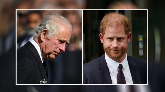 Buckingham Palace’s ‘liability’ Prince Harry comes under fire: ‘Can really harm King Charles’
