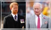 Prince Harry turns into a huge risk for King Charles as the optics spot his threat