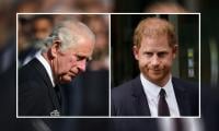Buckingham Palace’s ‘liability’ Prince Harry comes under fire: ‘Can really harm King Charles’