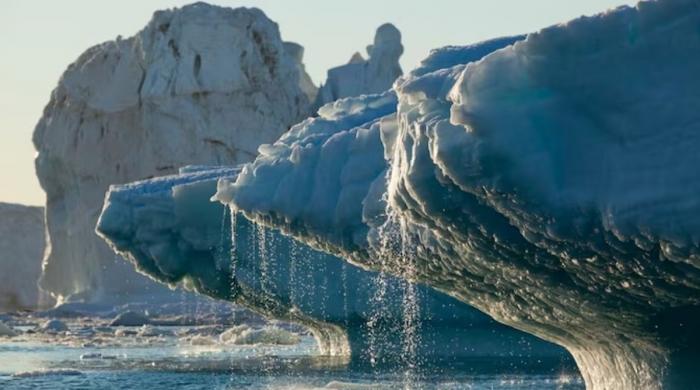 World’s first ice archive created to preserve fast-melting glaciers’ secrets