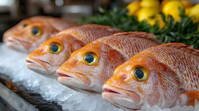 World's biggest fish market is set to open in Sydney: First look revealed