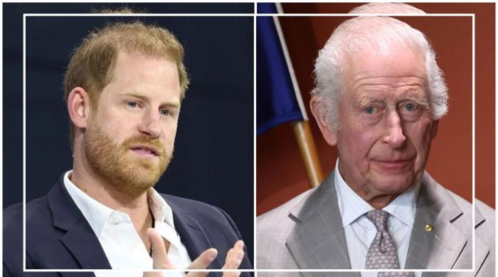 Experts weigh in: Is Prince Harry operating a PR stunt or the Invictus Games’