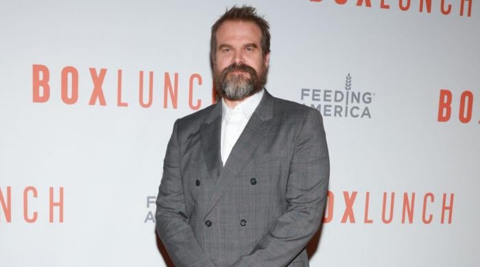 'Stranger Things' star David Harbour opens up about manic episodes 