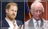 Experts weigh in: Is Prince Harry operating a PR stunt or the Invictus Games’