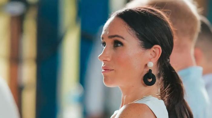 Extent of Meghan Markle’s fears gets the spotlight: ‘The press detest her which is a problem’