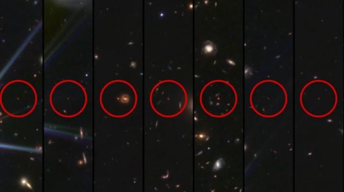Scientists unravel mystery of James Webb’s ‘little red dots’ in deep space