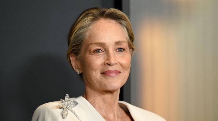 Sharon Stone lashes out at fellow award show attendees after stealing accusations 