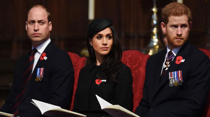 Buckingham Palace confirms Prince William will be in Bristol during Harry's UK trip