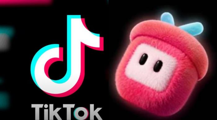 Whats buzzing around TikTok's 'PineDrama' app: Everything you need to know