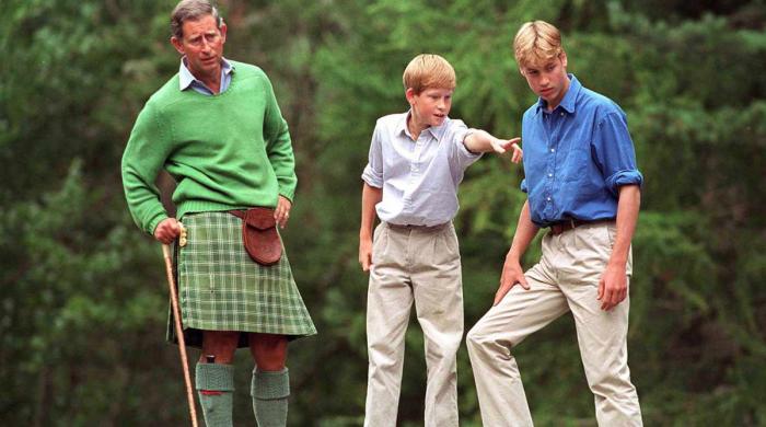 Prince Harry's peace talks with King Charles, Prince William: 'Ball is in Harry's court'