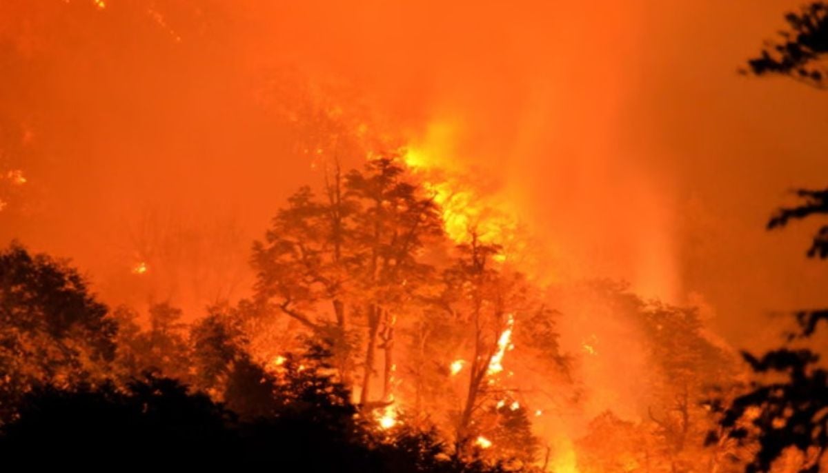 Chile in Danger: Deadly wildfires kill 20,forced 50,000 to flee; President declares ‘State of Catastrophe’