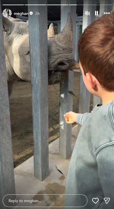 Meghan Markle shares NEW photos from day out at the zoo