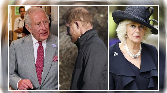 Prince Harry risks making King Charles choose between Queen Camilla and military duty