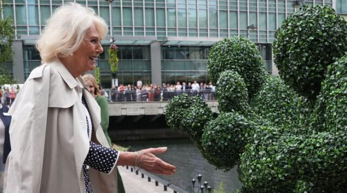 Queen Camilla appears in unexpected scene during special visit
