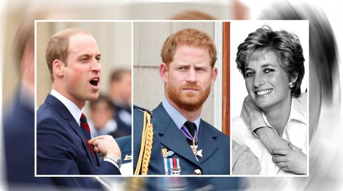 Prince William’s ‘failed’ mother Diana sparks another row with Prince Harry: ‘It’s crossing a line’