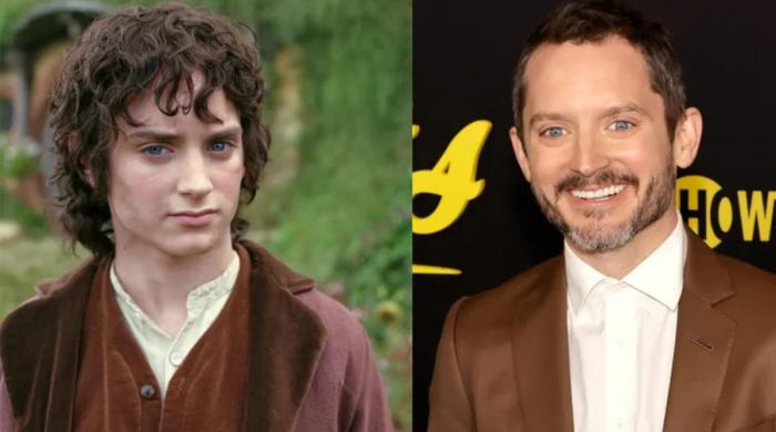 Elijah Wood on return to 'Lord of the Rings' universe