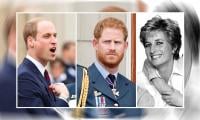 Prince William’s ‘failed’ mother Diana sparks another row with Prince Harry: ‘It’s crossing a line’