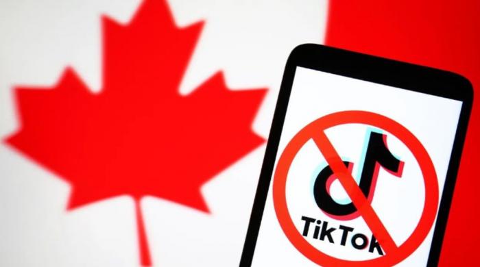 Court allows TikTok to operate in Canada pending review