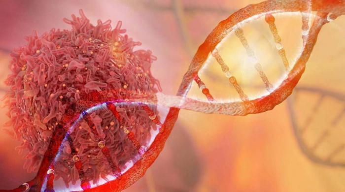 Why cancer comes back and how scientists believe it can be stopped