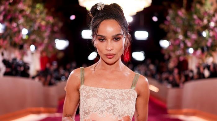 Zoë Kravitz sees Harry Styles as her 'soulmates': Report