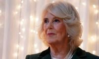 Queen Camilla visits Wiltshire Museum