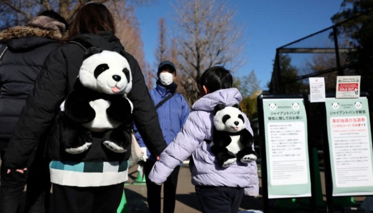 “Fans in tears” as Japan bids farewell to last two pandas