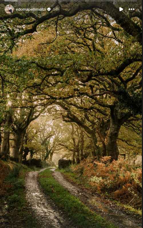 Princess Beatrice leaves for US?