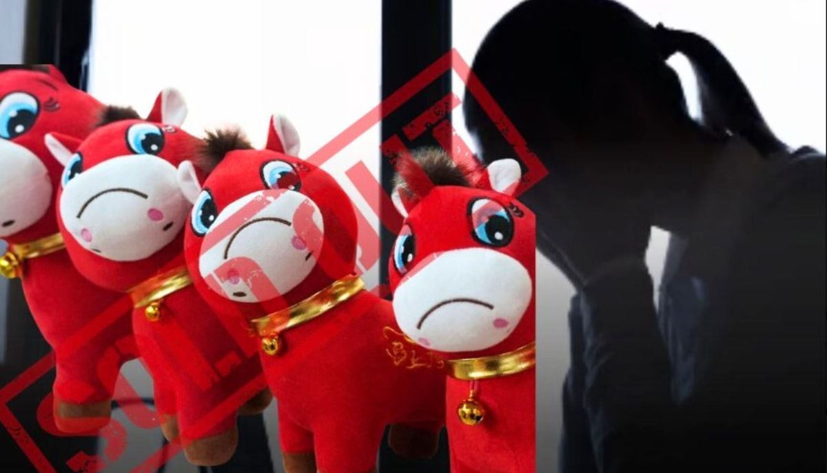 What’s buzzing around China’s viral ‘crying toy’: The Horse Plushie’s new craze