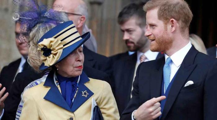 Prince Harry targeted with fake dossier claims citing Princess Anne
