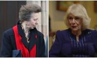 Princess Anne has a falling out with Queen Camilla for Ex-Prince Andrew: ‘There are fiery arguments’