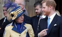 Prince Harry targeted with fake dossier claims citing Princess Anne