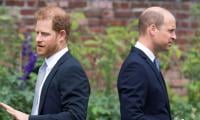 Prince William holds onto ‘bitterness’ for Prince Harry 