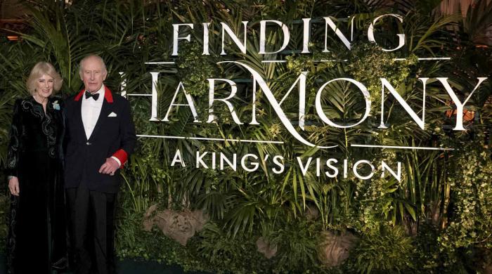 King Charles shows snippets from a magical evening at Windsor Castle: Video