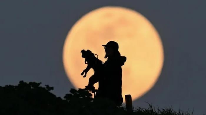 Snow Moon 2026: When and how to see February Full Moon rise