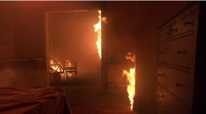 Illinois suspect stabbed pregnant woman nearly 70 times, then set flat on fire