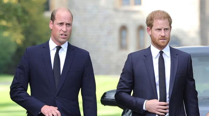Prince William urged to offer olive branch to Harry for future of monarchy