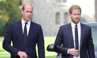 Prince William, Harry Will Never Have Same Relationship They Once Had