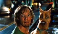 Shaggy Star Reacts To Netflix's Upcoming 'Scooby-Doo' Show  