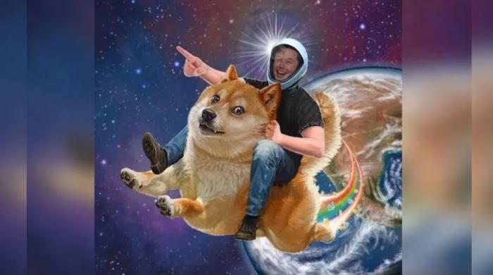 Dogecoin to Moon? Elon Musk sparks new speculation for 2027