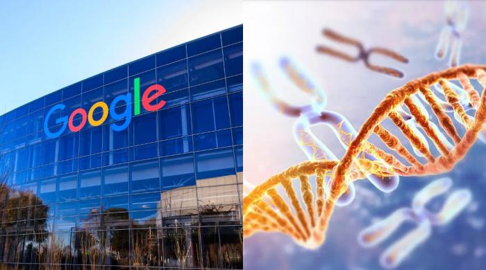 Google’s AI aims to prevent extinction by preserving endangered species’ DNA