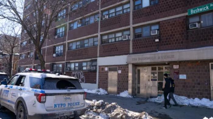 Mother-of-four butchered and dumped in Brooklyn apartment basement