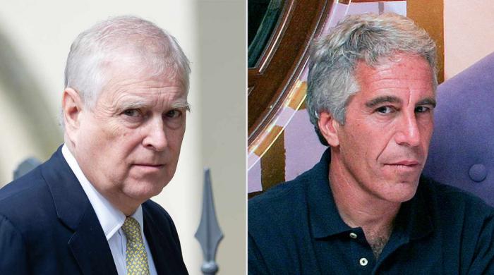 Ex Prince Andrew revealed creepy 'wish' in email to Epstein 