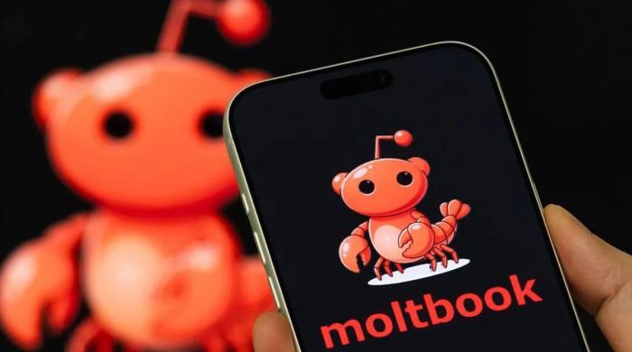 Humans are crashing social network built for AI bots