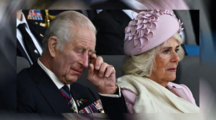 ‘Power-crazed tyrant’ Queen Camilla steps up to ‘chip away’ King Charles invite to Prince Harry