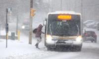 Weather Snow Storm Shuts Down Metro Newfoundland As Heavy Snow Hits