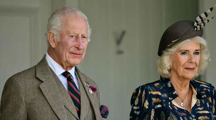 'Crime Scene' tape on Buckingham Palace over Andrew, Epstein files 