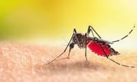 New Research Brings Us Closer To Malaria-free World