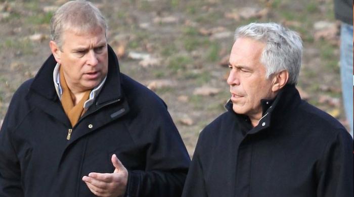 Real reason behind Andrew’s meeting with Jeffrey Epstein: Image finally explained